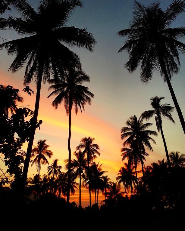 Tropical Season Villa Resort Mae Nam Buitenkant foto